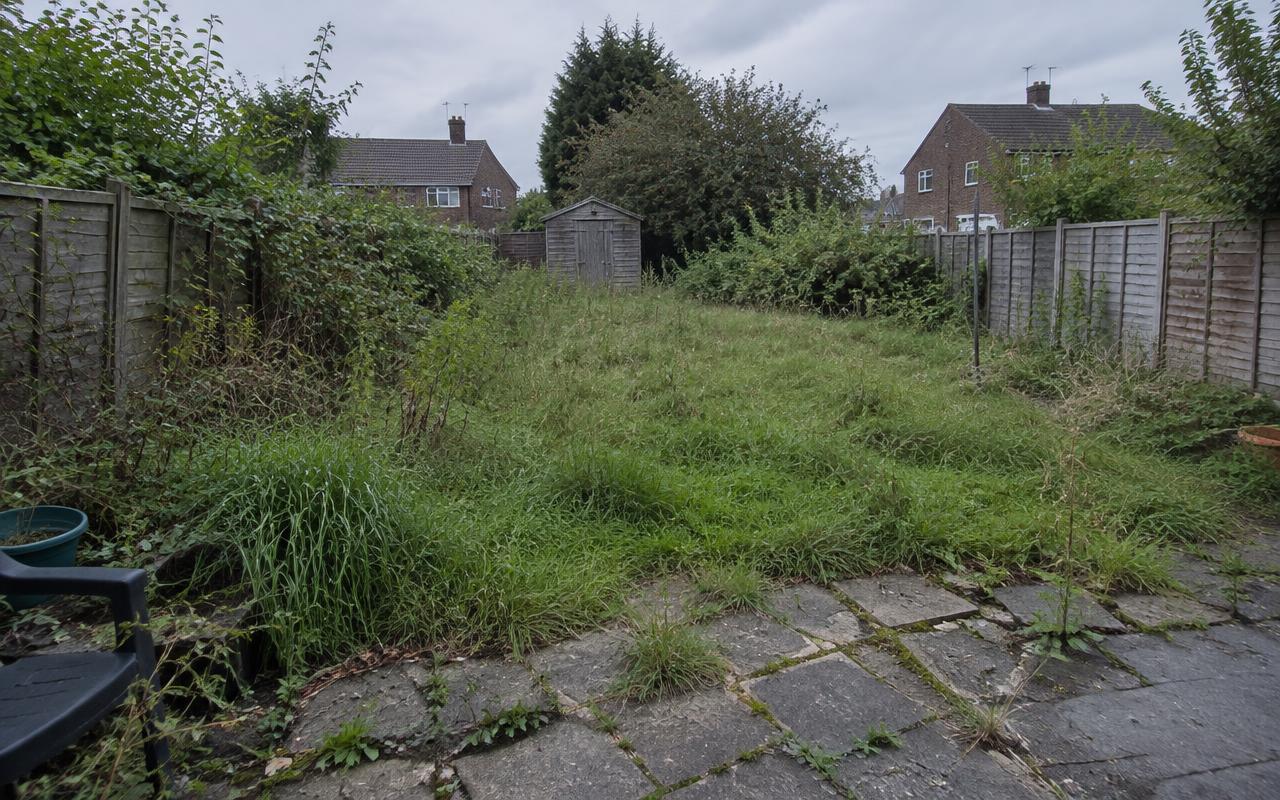 Garden before landscaping